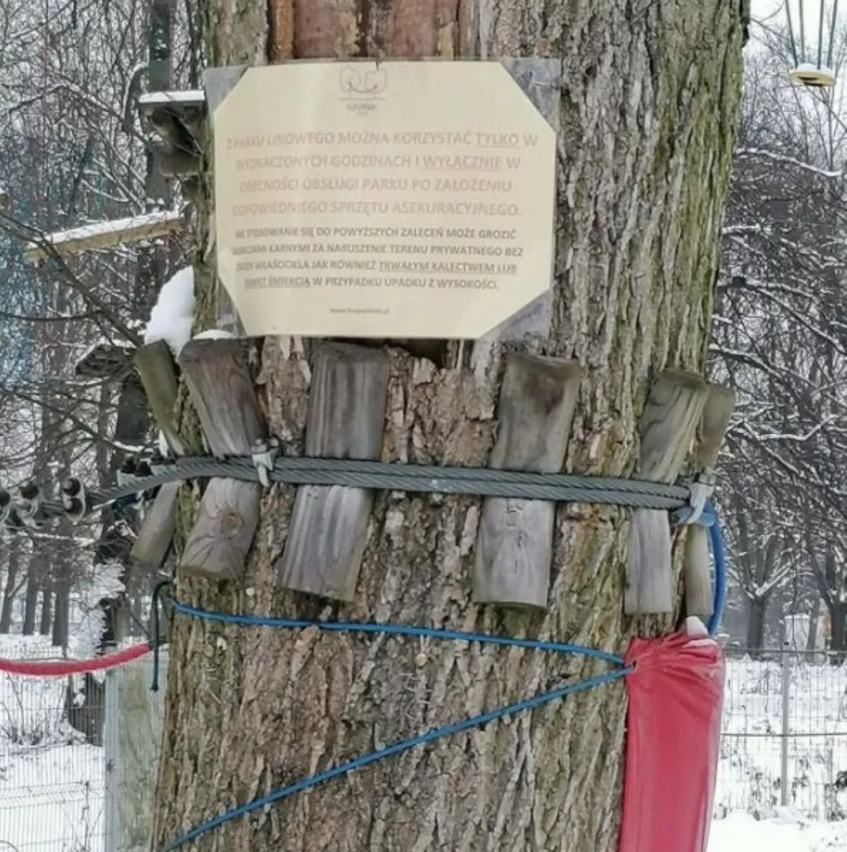 Części parku linowego na Stawach Jana wrosły w drzewa. Mieszkańcy: To dewastacja przyrody! [FOTO]