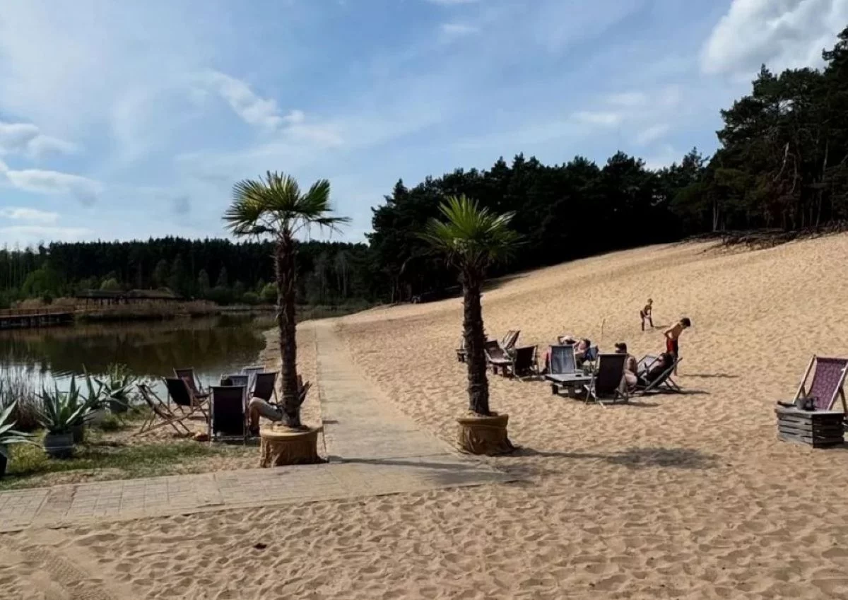 Plaża pod palmami pół godziny od Łodzi. To idealne miejsce na wracające upały!