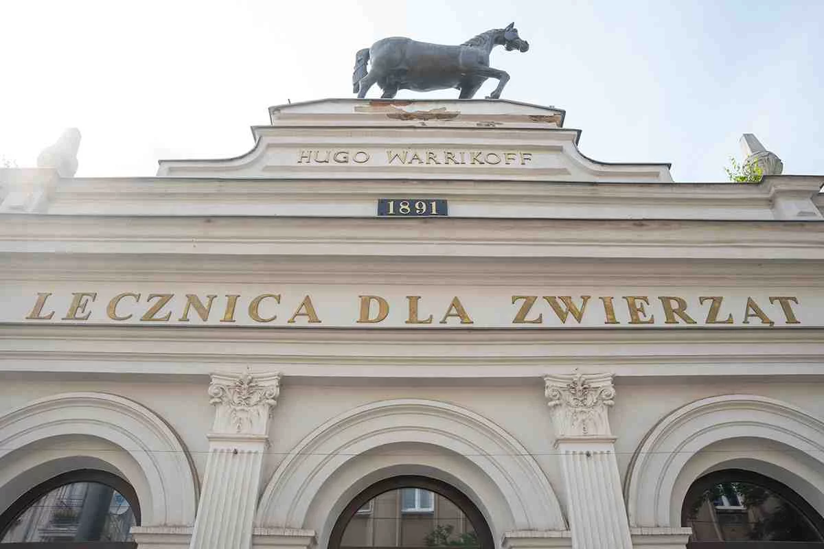 To jeden z najbardziej niezwykłych zabytków Łodzi. Od ponad wieku strzeże go... koń