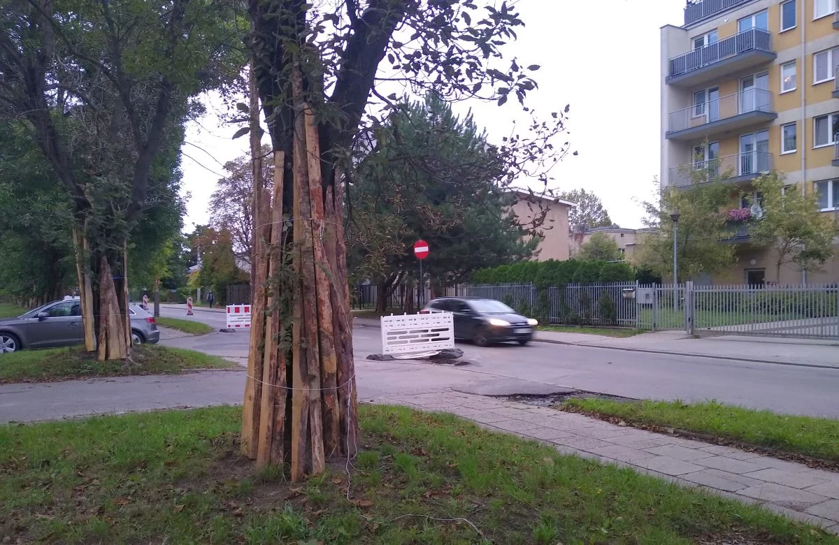 Remont ważnej ulicy na Bałutach trwa, ale drogowców nie widać. Co się dzieje?