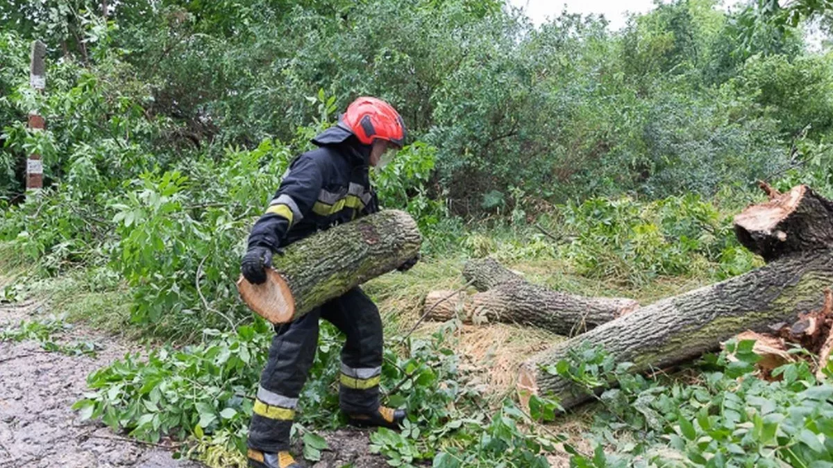 Noc pełna interwencji w woj. łódzkim. Najwięcej zgłoszeń w Łodzi