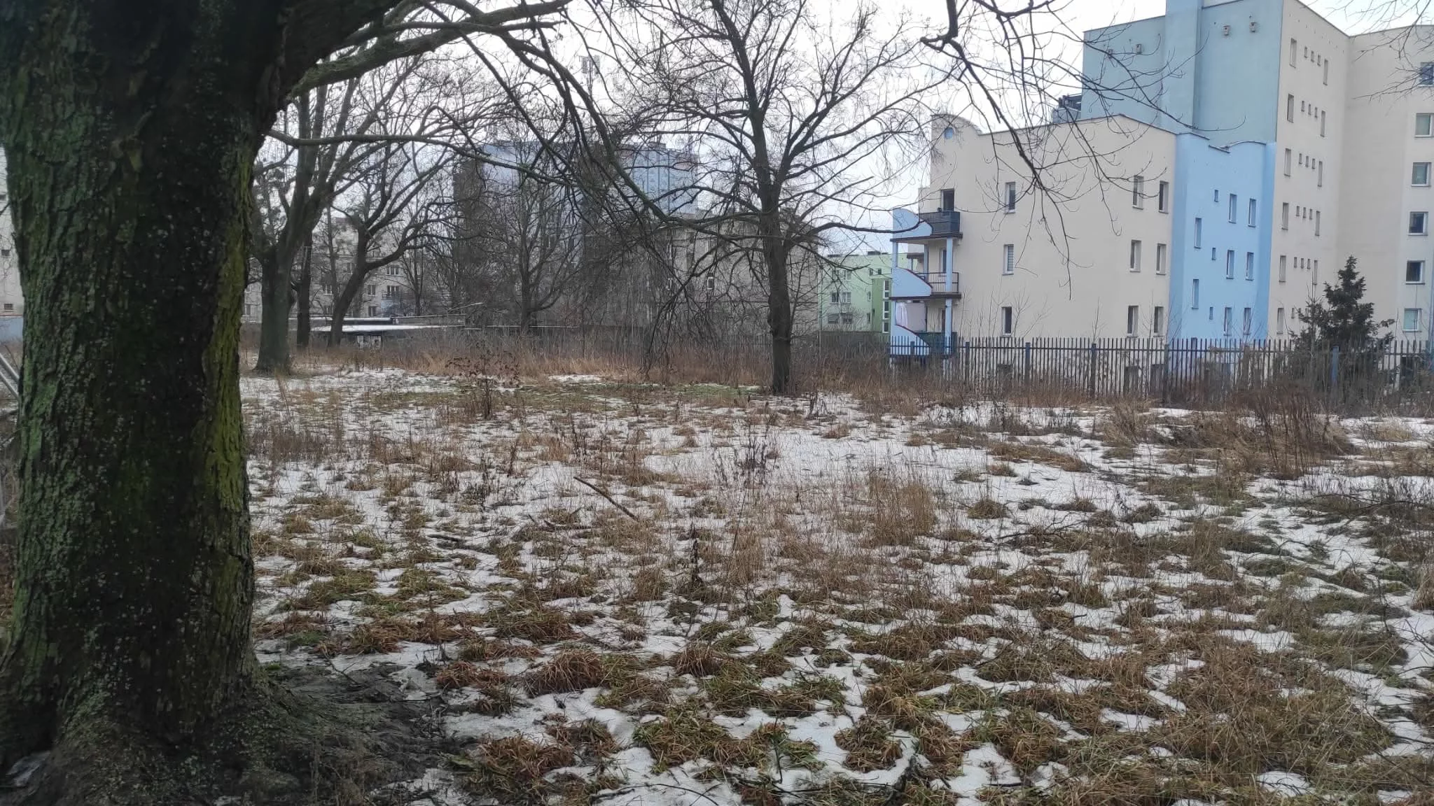 Przy Kopcińskiego 89 nie będzie bloków. Walka mieszkańców zakończona sukcesem! [FOTO]