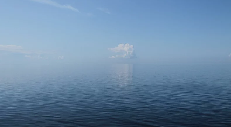 „Szum morza” pod Łodzią? Nietypowy ogłoszenie o sprzedaży działki