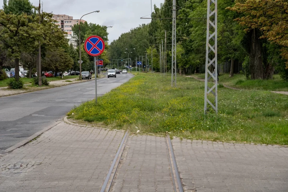 Kiedy ruszą najważniejsze inwestycje tramwajowe w Łodzi? Wiceprezydent podał terminy