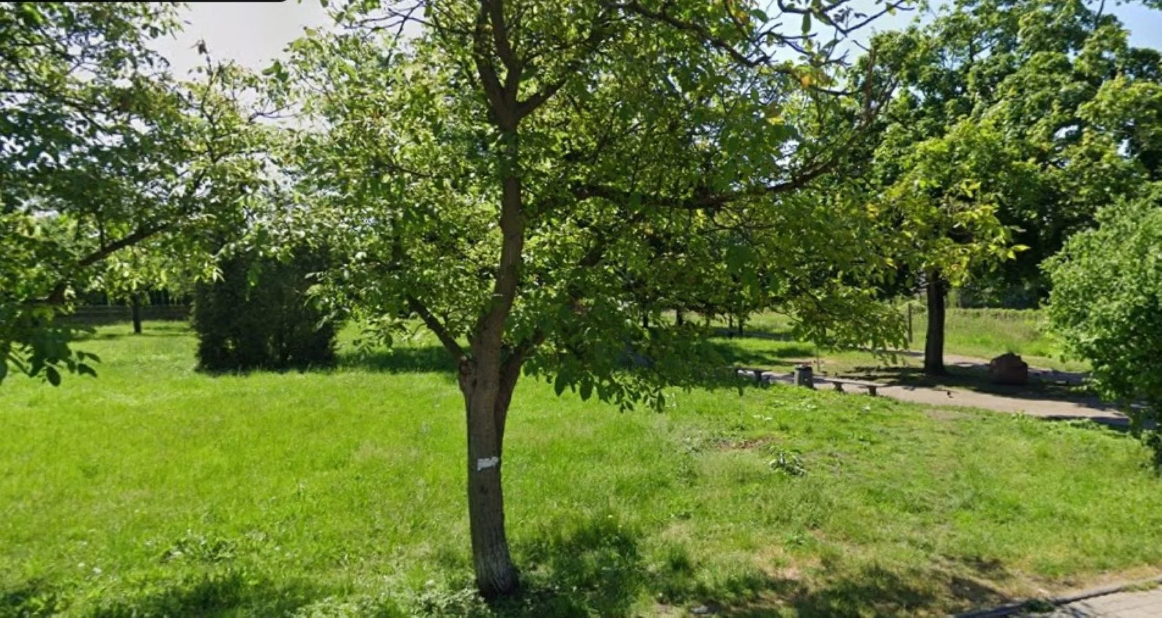 Atrakcja turystyczna po nowemu. Nad wodą i tylko 15 km od Łodzi!