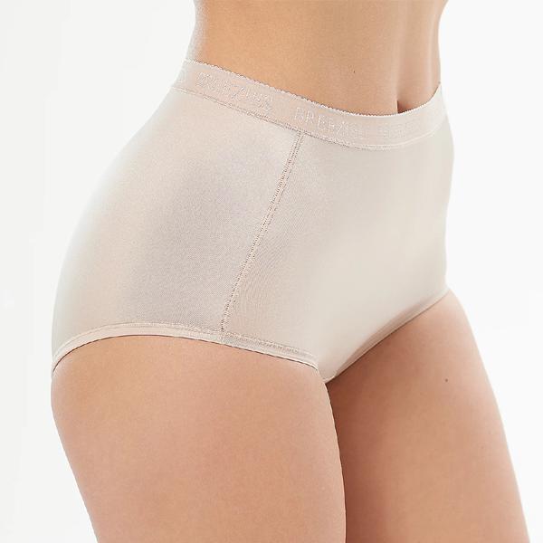 Breezies Nylon Microfiber Brief Panty Basic -Set of 4