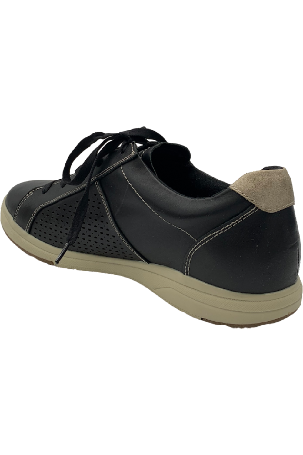 Earth Origins LaceUp Suede Sneaker Etta Black Jender