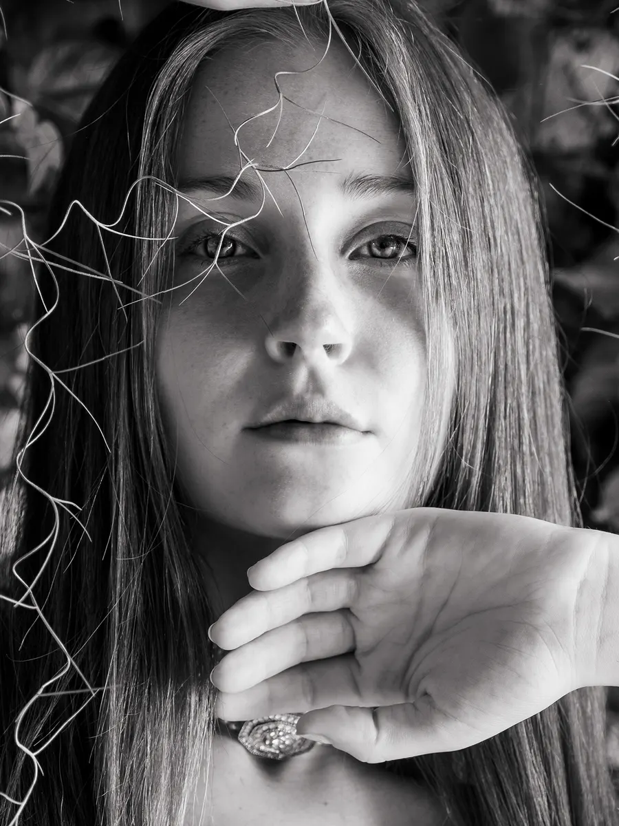Book — Paula Reichert