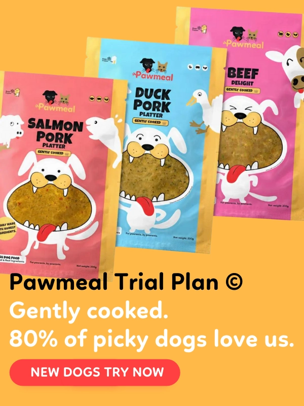 Pawmeal Trial Plan ©