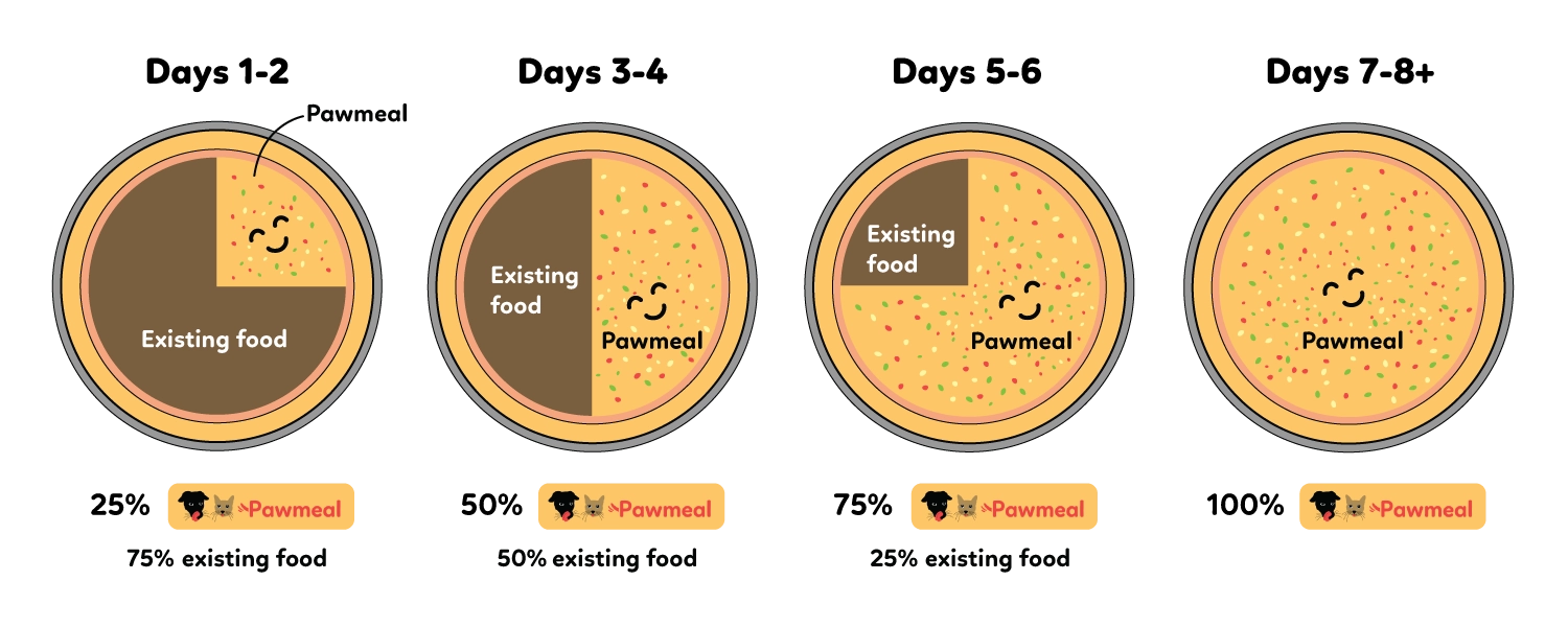 Pawmeal transition guide for new dogs