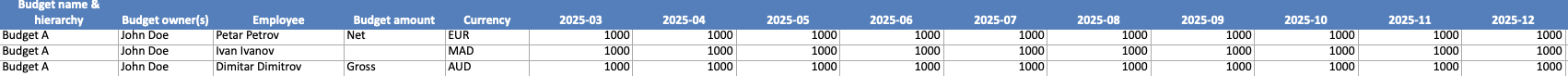 Aperçu du budget pour le Budget A, détaillant les propriétaires, les employés, les montants et la devise.