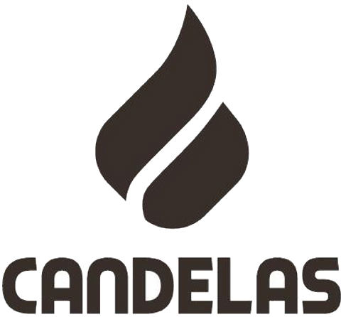 Andela logo