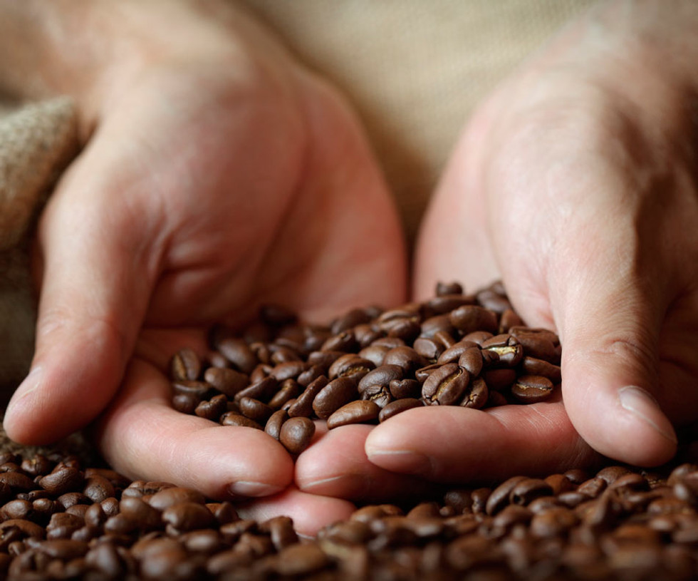 Cafés Candelas is a family company with more than 40 years of experience in the coffee sector.