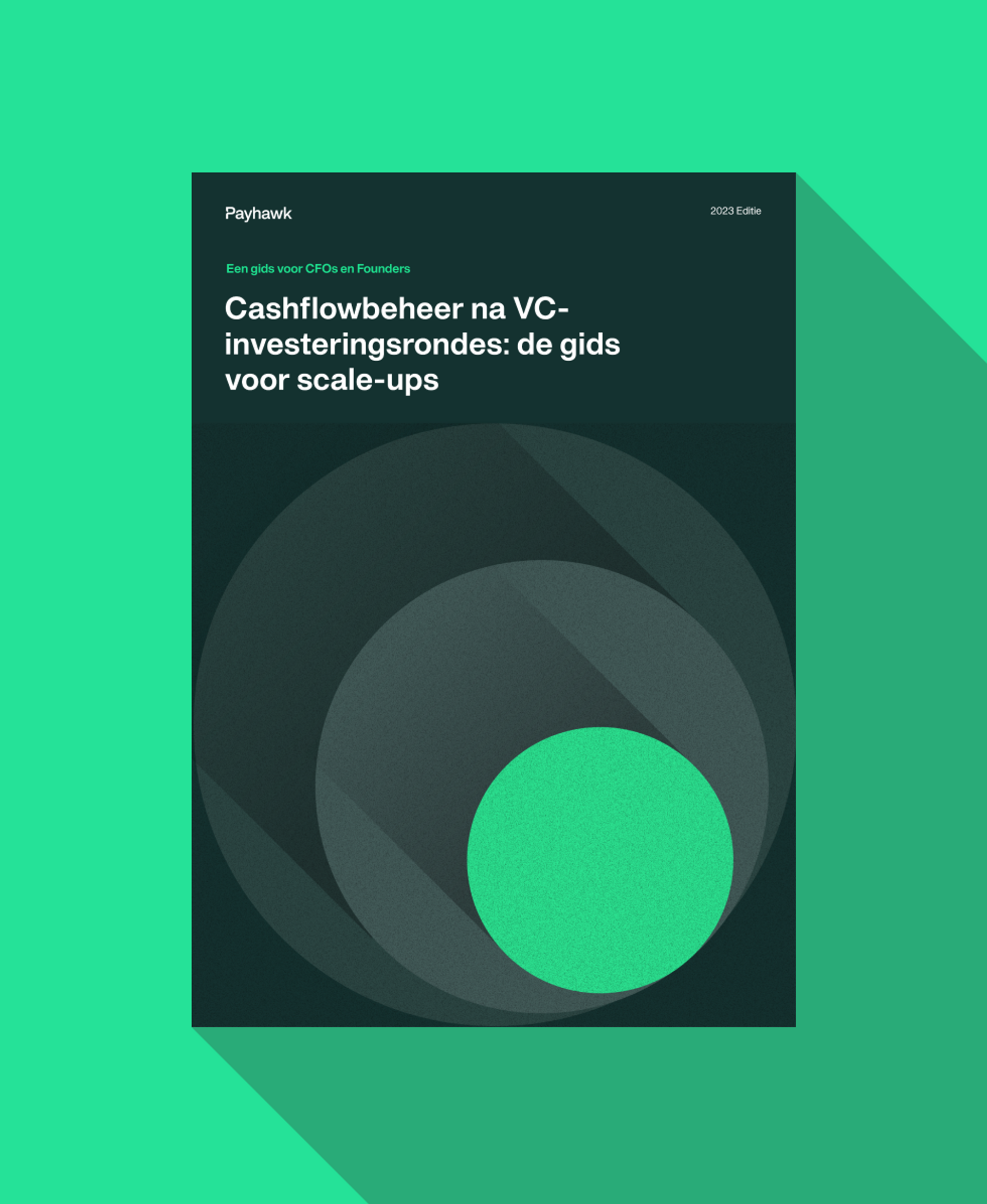 Ebook "Cashflowbeheer na VC investeringsrondes: de gids voor scale-ups"