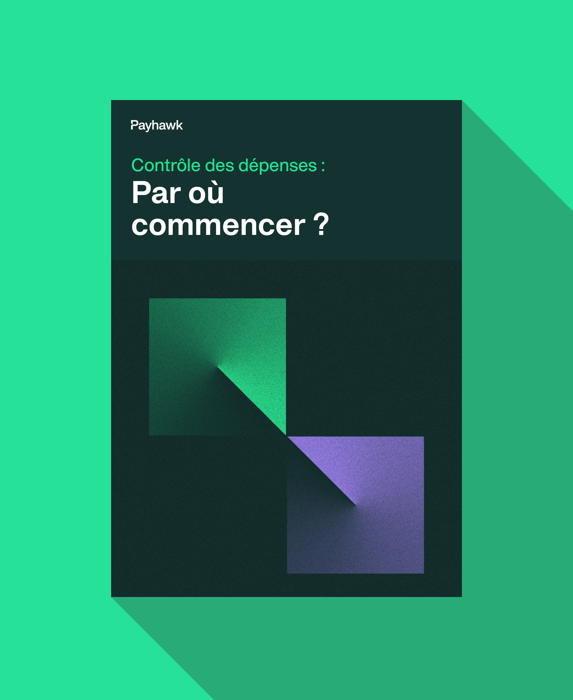 couverture de l'ebook sur le contrôle des dépenses