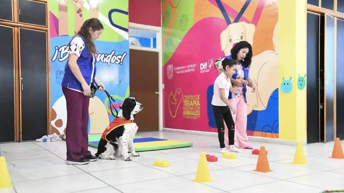 ¡Magia sobre cuatro patas! ¿Sabías que perros y caballos ayudan diariamente a niños con autismo en Aguascalientes?