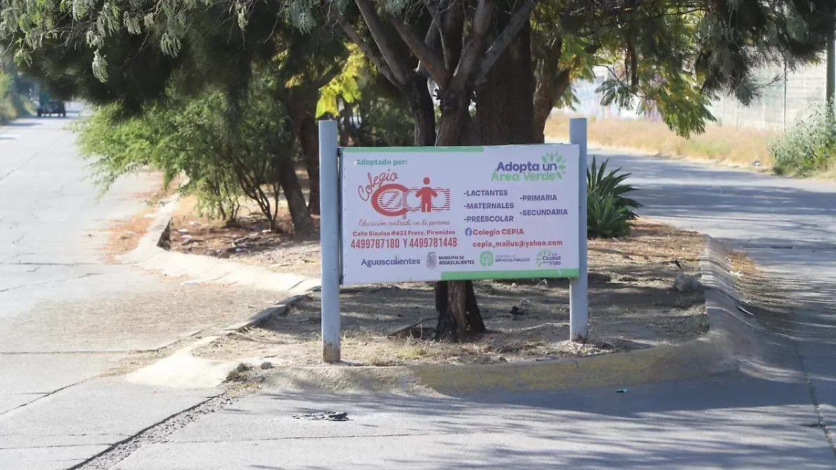 Empresas de Aguascalientes olvidan mantenimiento de camellones