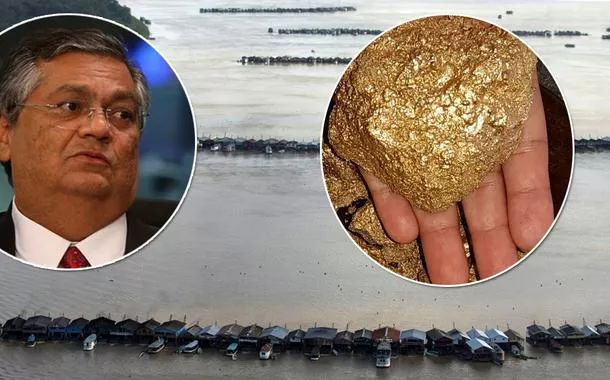 Flávio Dino e garimpo ilegal na Amazônia