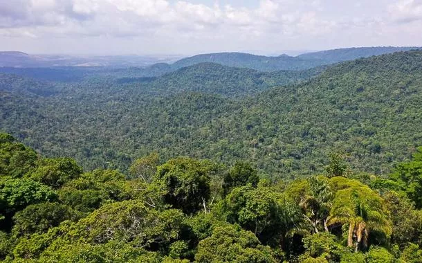 Bolsonarismo anti-ambiental está vivo no Congresso
