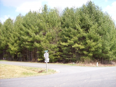 4 Building Lots