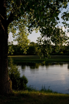 Secluded Country Setting