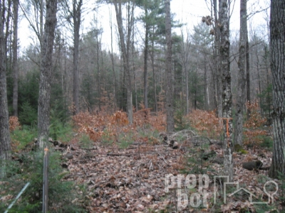 Close to Sacandaga and bo