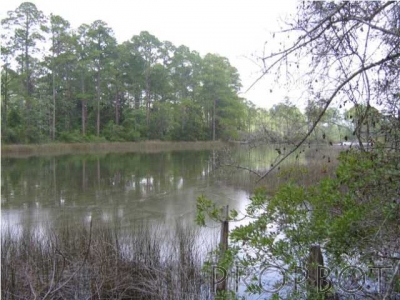 Residential Lots - CALLAW