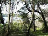 Vacant Land for sale in D