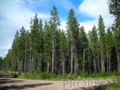 Land Undeveloped - ISLAND