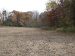 Dexter 10+ Acre Parcel A