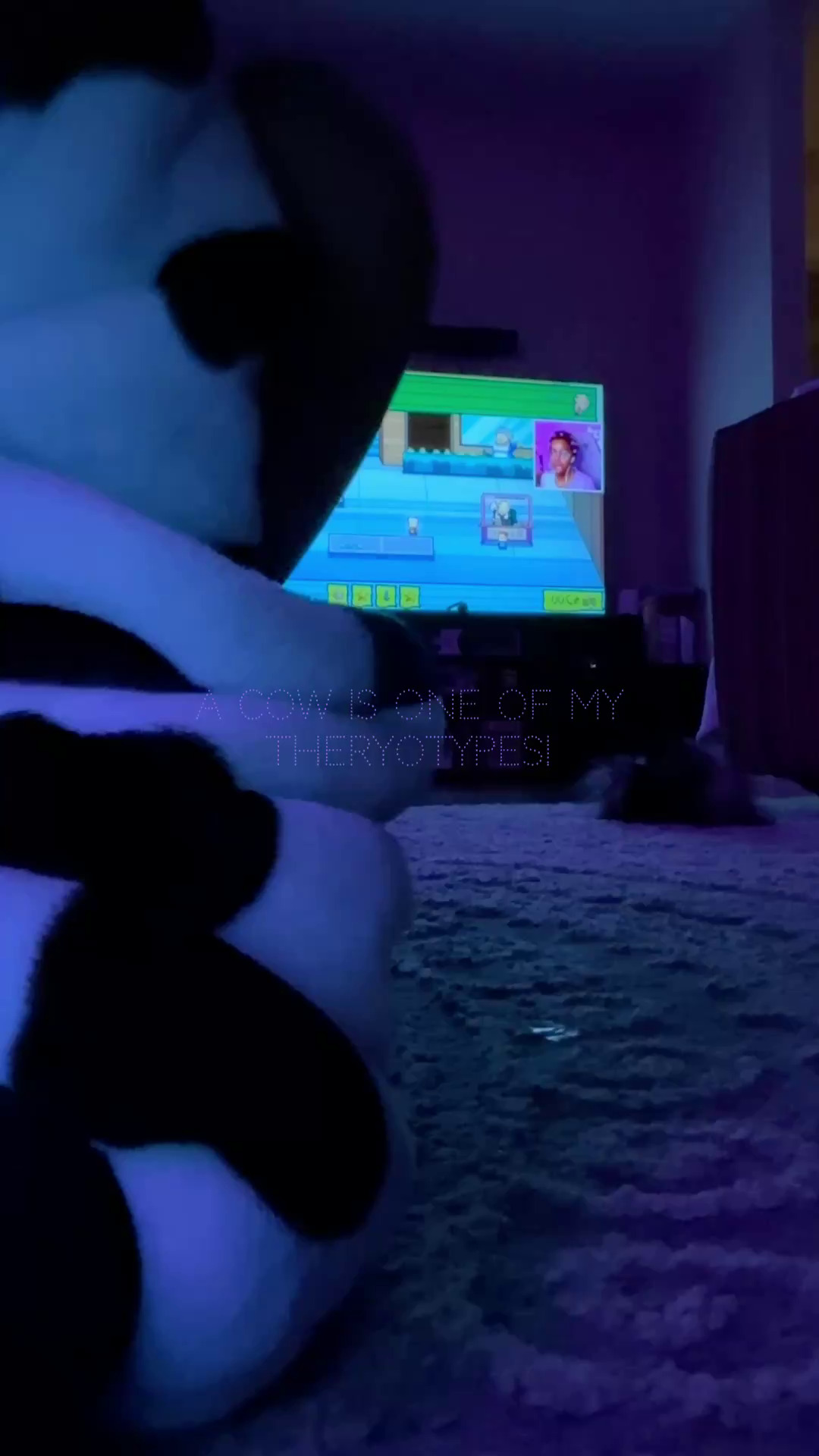 preview