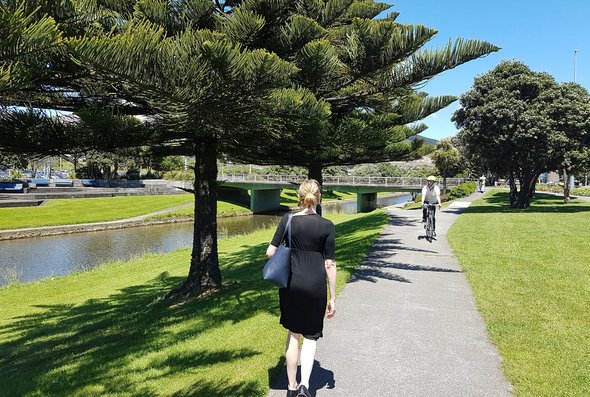 cbd shared pathway porirua stream