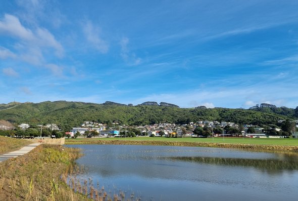 te kukuwai o toa - elsdon wetland