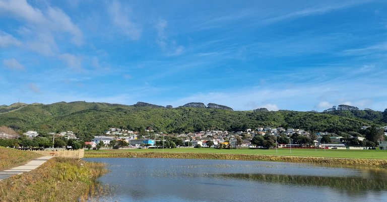 te kukuwai o toa - elsdon wetland