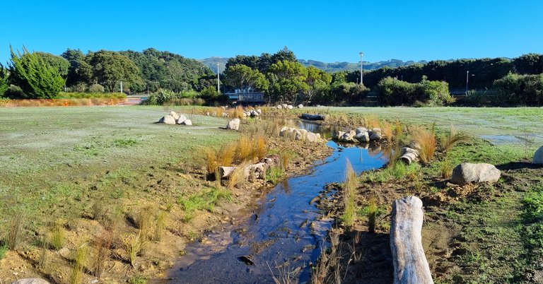 Aotea Lagoon pond