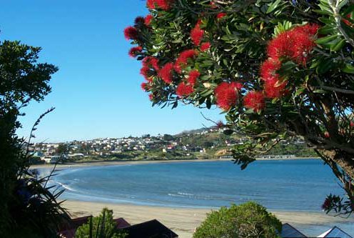 Beaches - Titahi Bay Beach.jpg