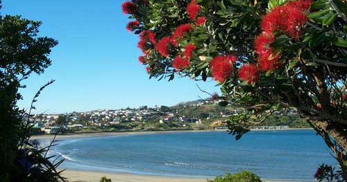 Beaches - Titahi Bay Beach.jpg