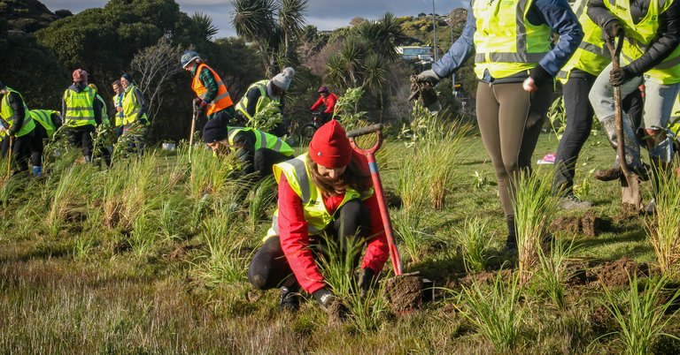 Community planting