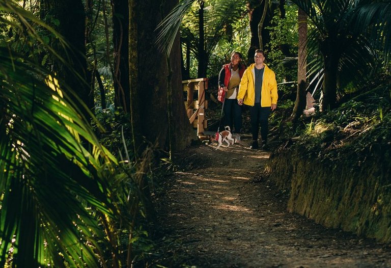 Couple-walking-dog-in-Belmont-Regional-Park__FillWzEyMDAsNjAwXQ