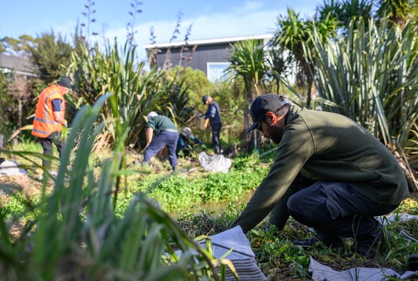 Duck Creek planting