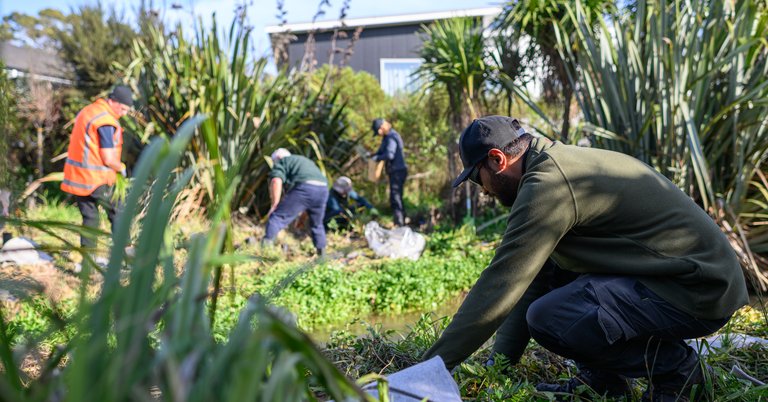 Duck Creek planting