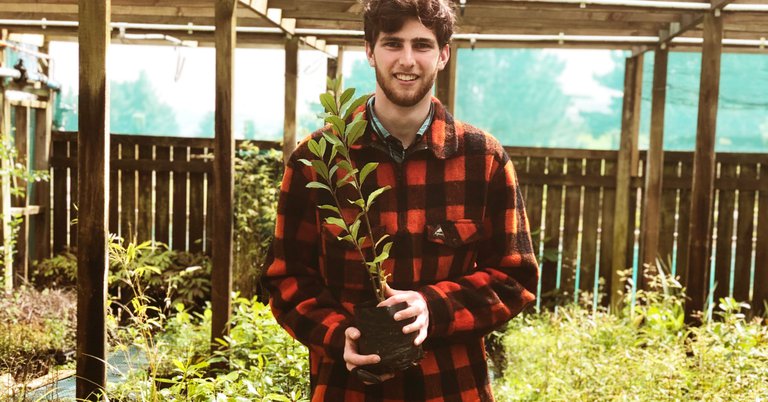 Nursery and plants - Porirua City