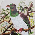 Kereru-in-olive-tree-(detail)_Michael-Angelo.jpg