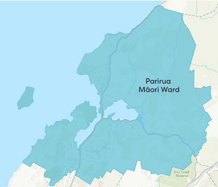 Maori ward