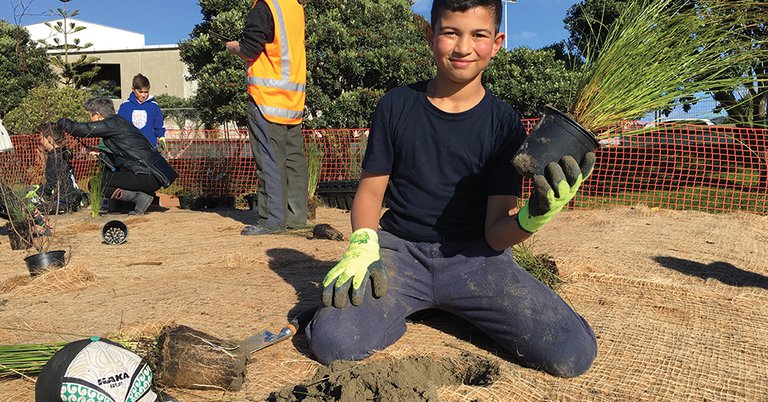 News - Harbour - boy planting