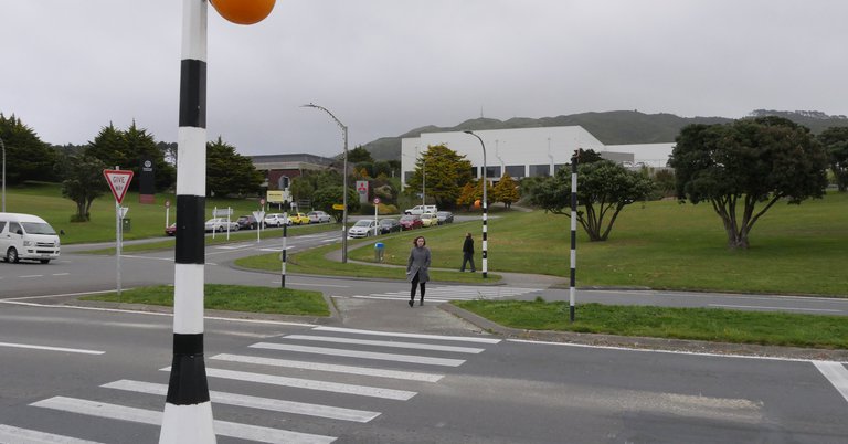 Titahi Bat Road crossing.