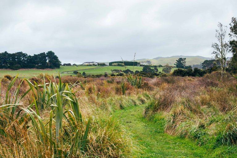 Pāuatahanui Wildlife Reserve 6.jpg