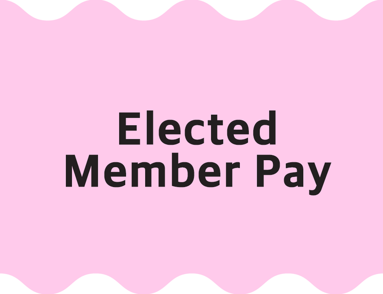 Elected member Pay