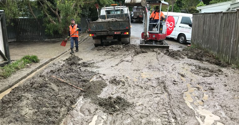 Plimmerton cleanup.jpg