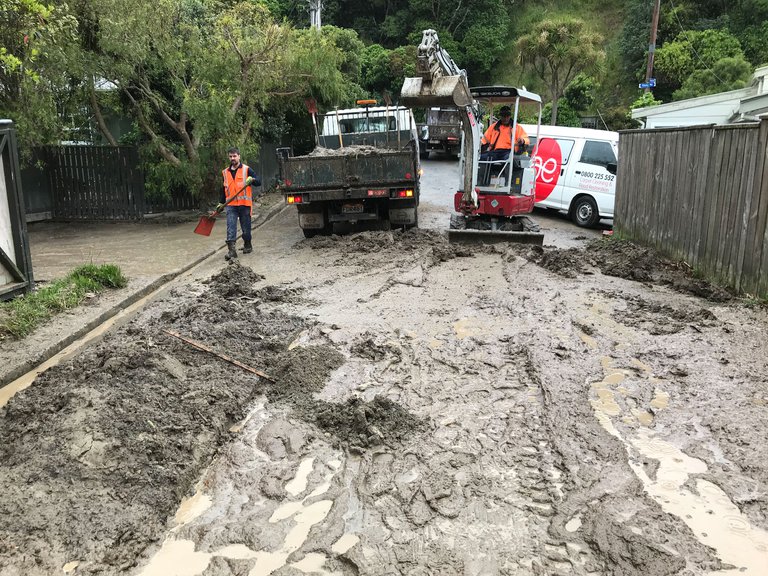 Plimmerton cleanup.jpg